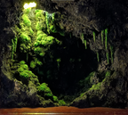 Mossy Grotto - Music Box