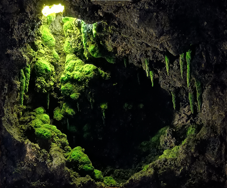 The Mossy Grotto