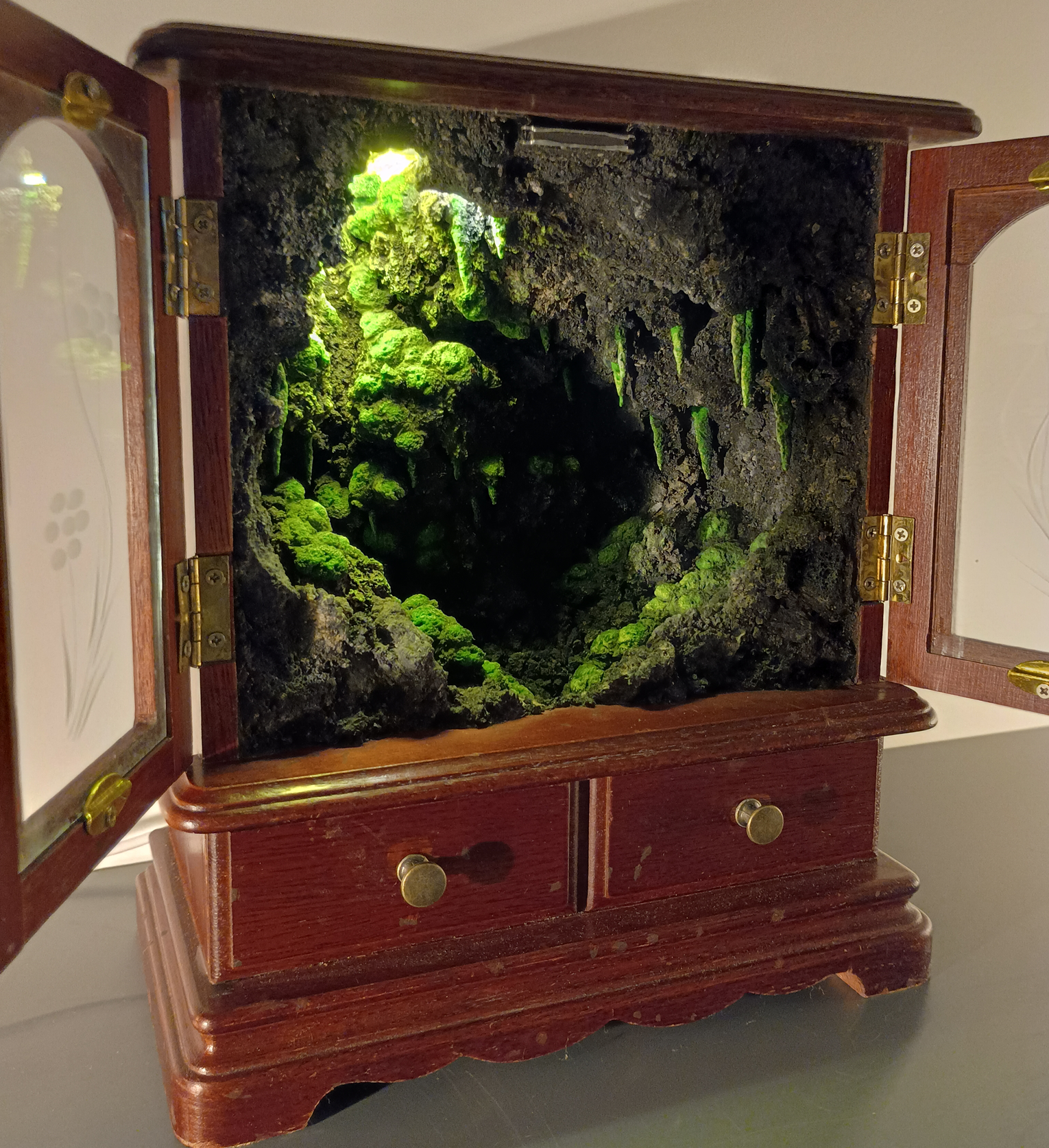 Mossy Grotto - Music Box