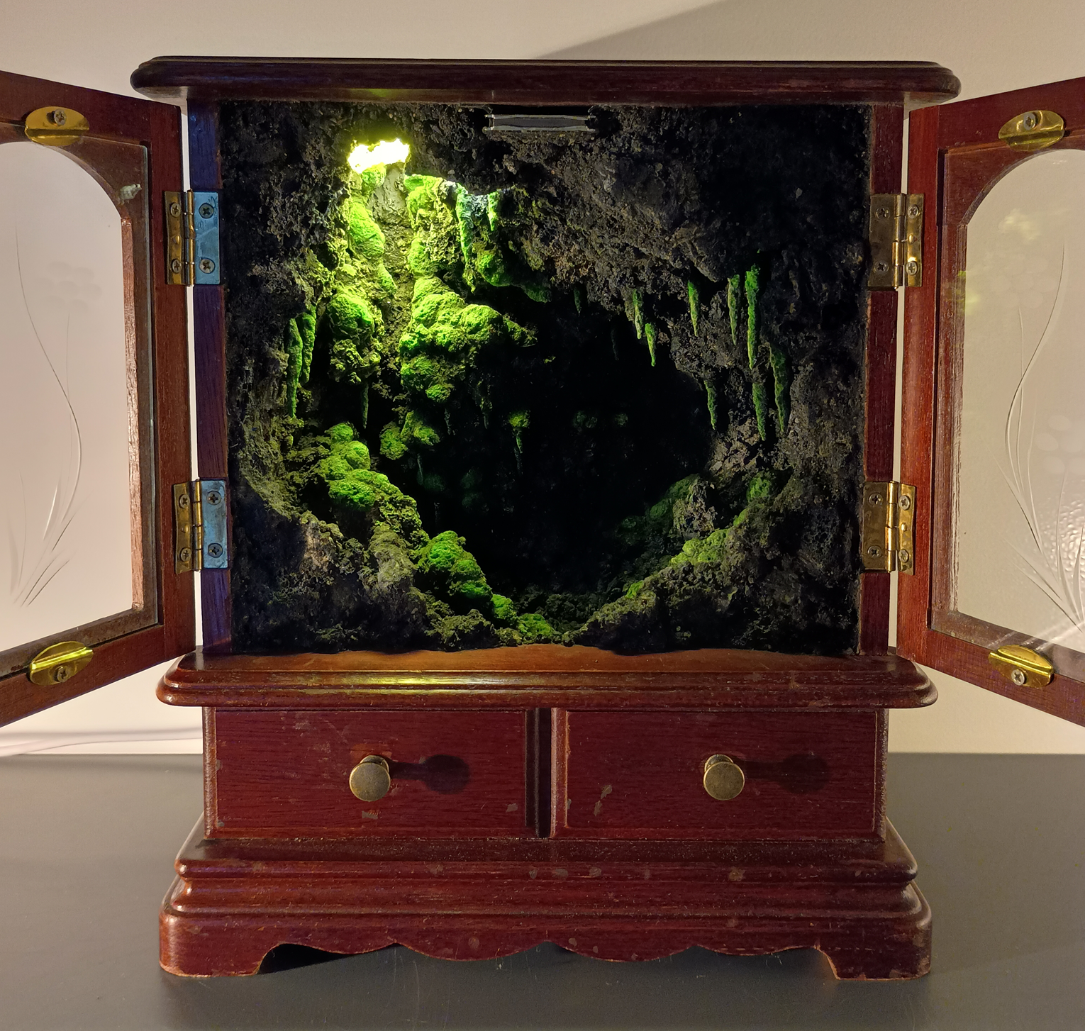 Mossy Grotto - Music Box