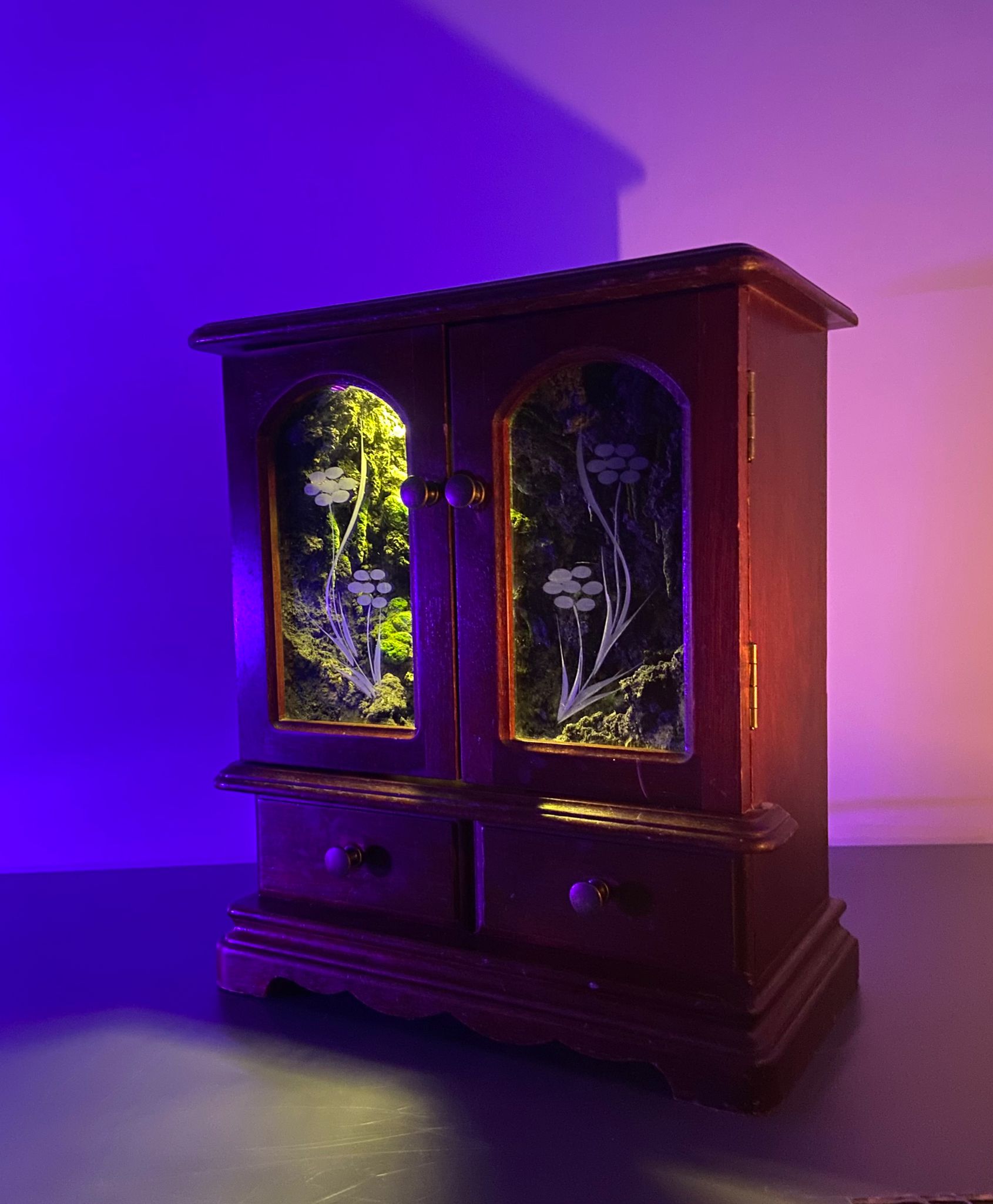 Mossy Grotto - Music Box